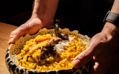 «Meloso de Setas y Pollo Campero: El Arroz Otoñal que Combina Bosque y Granja»